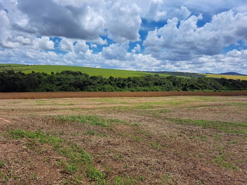 Fazenda a venda em Ipameri-GO, Dupla aptidão, SOJA-CAFÉ-LARANJA-GADO: 8ª foto da galeria de imagens do imóvel
