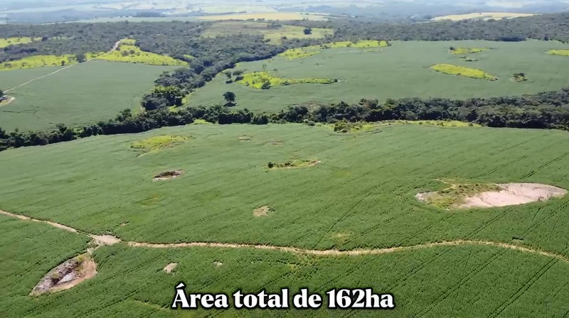 Fazenda a venda em Ipameri-GO, Dupla aptidão, SOJA-CAFÉ-LARANJA-GADO: 6ª foto da galeria de imagens do imóvel