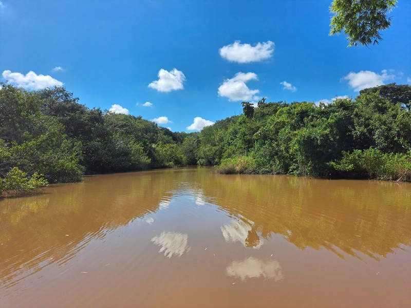 Fazenda a venda em Ipameri-GO, Dupla aptidão, SOJA-CAFÉ-LARANJA-GADO: 11ª foto da galeria de imagens do imóvel