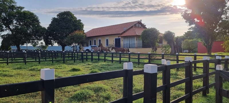 Fazenda exclusiva em Uberaba - MG - SOJA-CAFÉ-BOI-LARANJA: 2ª foto da galeria de imagens do imóvel