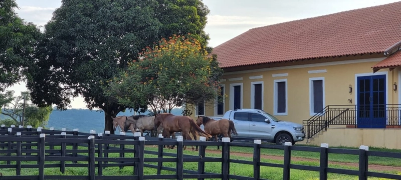 Fazenda exclusiva em Uberaba - MG - SOJA-CAFÉ-BOI-LARANJA: 1ª foto da galeria de imagens do imóvel