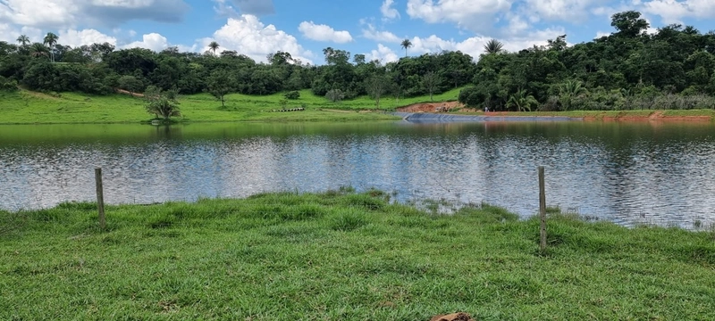 Fazenda exclusiva em Uberaba - MG - SOJA-CAFÉ-BOI-LARANJA: 12ª foto da galeria de imagens do imóvel