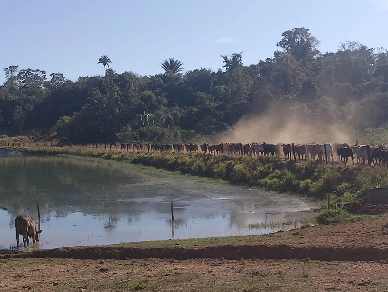 Fazenda exclusiva em Uberaba - MG - SOJA-CAFÉ-BOI-LARANJA: 3ª foto da galeria de imagens do imóvel