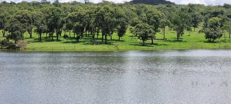 Fazenda exclusiva em Uberaba - MG - SOJA-CAFÉ-BOI-LARANJA: 30ª foto da galeria de imagens do imóvel