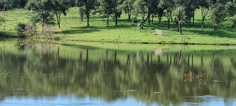 Fazenda exclusiva em Uberaba - MG - SOJA-CAFÉ-BOI-LARANJA: 17ª foto da galeria de imagens do imóvel