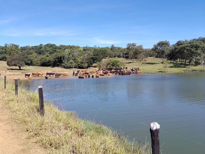 Fazenda exclusiva em Uberaba - MG - SOJA-CAFÉ-BOI-LARANJA: 5ª foto da galeria de imagens do imóvel