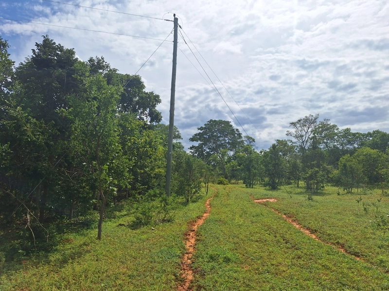 Fazenda barata em Minas Gerais - Januária-MG: 11ª foto da galeria de imagens do imóvel