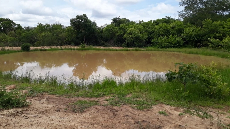 Fazenda barata em Minas Gerais - Januária-MG: 5ª foto da galeria de imagens do imóvel