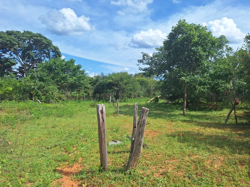 Fazenda barata em Minas Gerais - Januária-MG: 10ª foto da galeria de imagens do imóvel