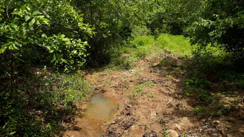Fazenda barata em Minas Gerais - Januária-MG: 9ª foto da galeria de imagens do imóvel