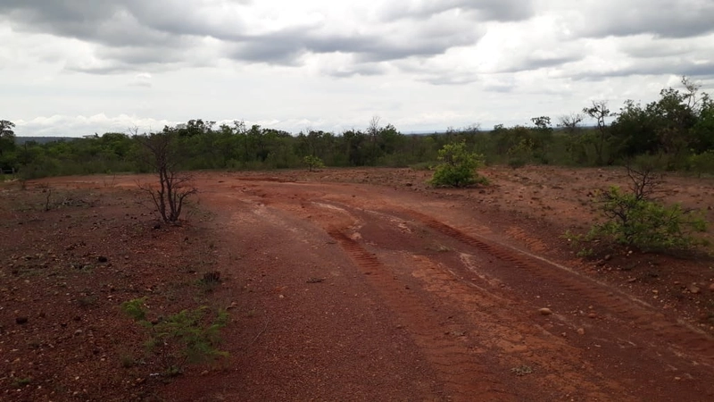 Fazenda barata em Minas Gerais - Januária-MG: 4ª foto da galeria de imagens do imóvel