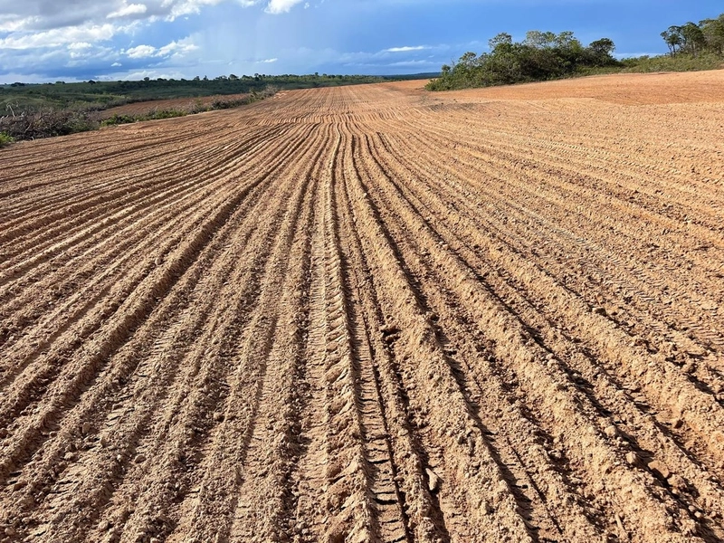 Fazenda para SOJA em Bonfinópolis-MG - Pagamento facilitado.: 11ª foto da galeria de imagens do imóvel