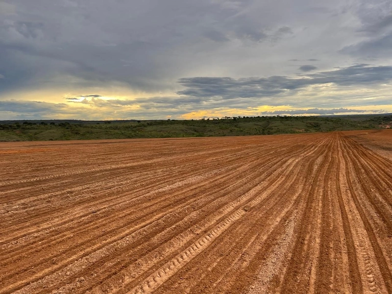 Fazenda para SOJA em Bonfinópolis-MG - Pagamento facilitado.: 13ª foto da galeria de imagens do imóvel