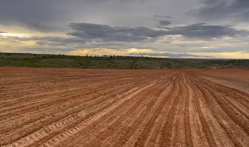 Fazenda para SOJA em Bonfinópolis-MG - Pagamento facilitado.: 4ª foto da galeria de imagens do imóvel