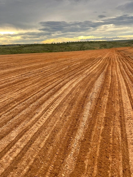 Fazenda para SOJA em Bonfinópolis-MG - Pagamento facilitado.: 12ª foto da galeria de imagens do imóvel