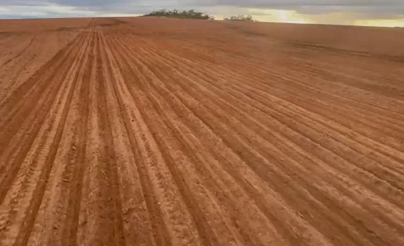 Fazenda para SOJA em Bonfinópolis-MG - Pagamento facilitado.: 5ª foto da galeria de imagens do imóvel