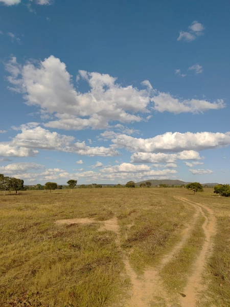 Fazenda a venda em Unaí-MG - Dupla aptidão: 8ª foto da galeria de imagens do imóvel