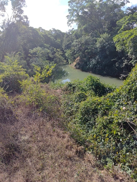 Fazenda a venda em Unaí-MG - Dupla aptidão: 3ª foto da galeria de imagens do imóvel