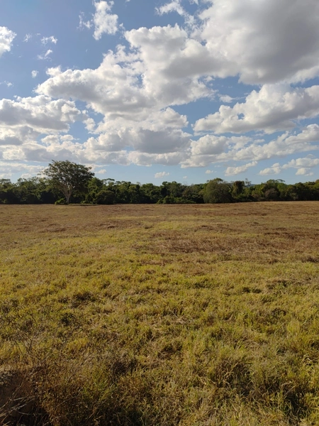 Fazenda a venda em Unaí-MG - Dupla aptidão: 10ª foto da galeria de imagens do imóvel