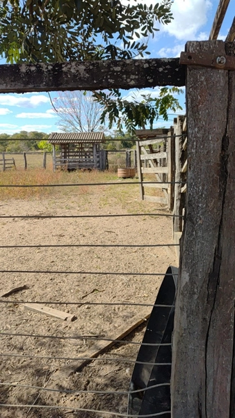 Fazenda a venda em Unaí-MG - Dupla aptidão: 13ª foto da galeria de imagens do imóvel