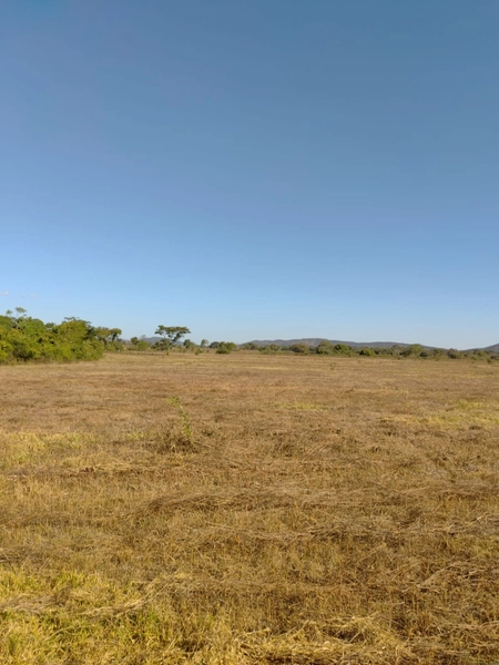 Fazenda a venda em Unaí-MG - Dupla aptidão: 7ª foto da galeria de imagens do imóvel