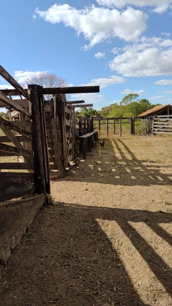 Fazenda a venda em Unaí-MG - Dupla aptidão: 11ª foto da galeria de imagens do imóvel