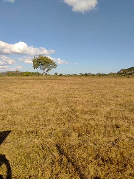 Fazenda a venda em Unaí-MG - Dupla aptidão: 1ª foto da galeria de imagens do imóvel