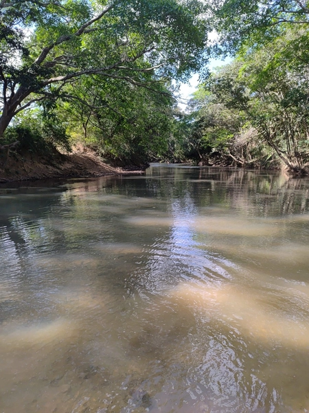 Fazenda a venda em Unaí-MG - Dupla aptidão: 4ª foto da galeria de imagens do imóvel