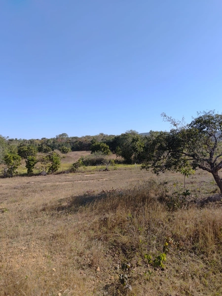Fazenda a venda em Unaí-MG - Dupla aptidão: 9ª foto da galeria de imagens do imóvel