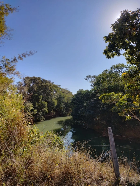 Fazenda a venda em Unaí-MG - Dupla aptidão: 5ª foto da galeria de imagens do imóvel
