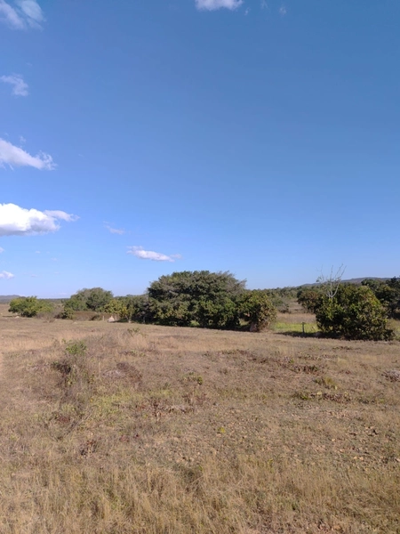 Fazenda a venda em Unaí-MG - Dupla aptidão: 6ª foto da galeria de imagens do imóvel