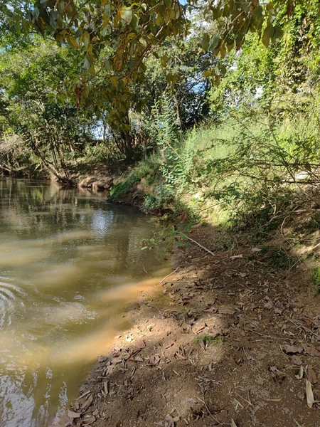 Fazenda a venda em Unaí-MG - Dupla aptidão: 2ª foto da galeria de imagens do imóvel