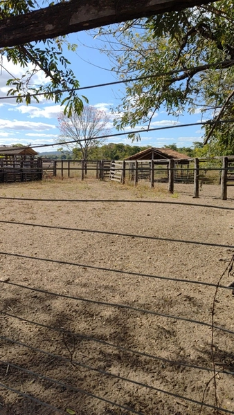 Fazenda a venda em Unaí-MG - Dupla aptidão: 12ª foto da galeria de imagens do imóvel