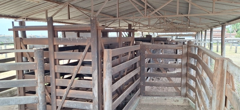 Fazenda grande para SOJA em Unaí - MG: 24ª foto da galeria de imagens do imóvel