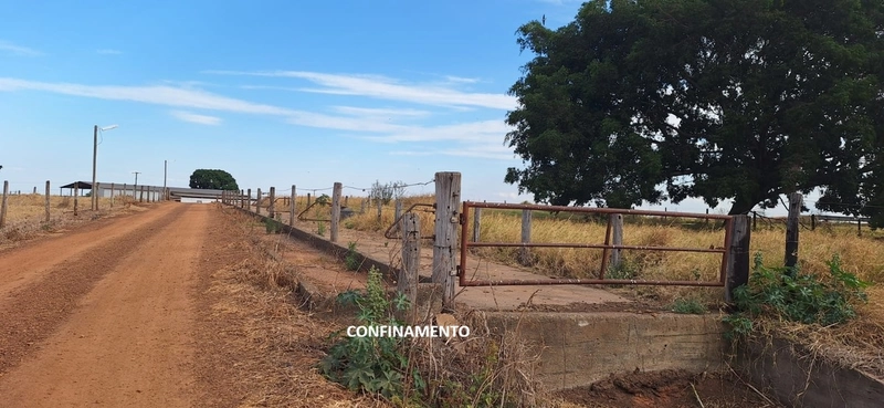 Fazenda grande para SOJA em Unaí - MG: 33ª foto da galeria de imagens do imóvel