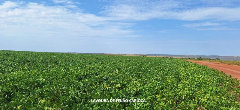 Fazenda grande para SOJA em Unaí - MG: 1ª foto da galeria de imagens do imóvel