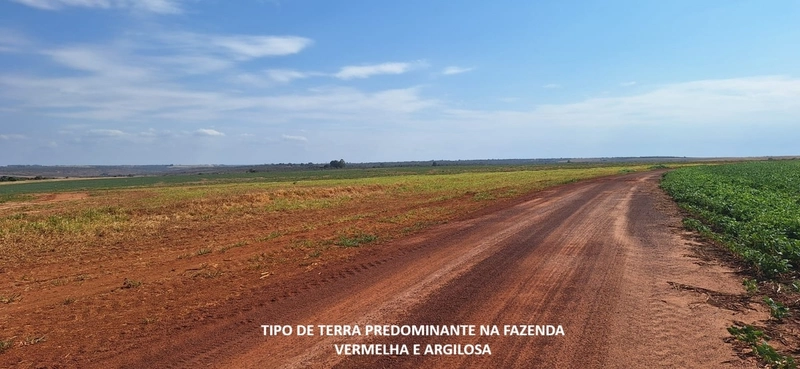 Fazenda grande para SOJA em Unaí - MG: 7ª foto da galeria de imagens do imóvel
