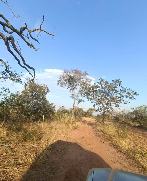 Fazenda em Minas Gerais - Ótima de preço - João Pinheiro-MG: 8ª foto da galeria de imagens do imóvel