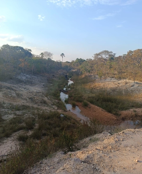 Fazenda em Minas Gerais - Ótima de preço - João Pinheiro-MG: 9ª foto da galeria de imagens do imóvel