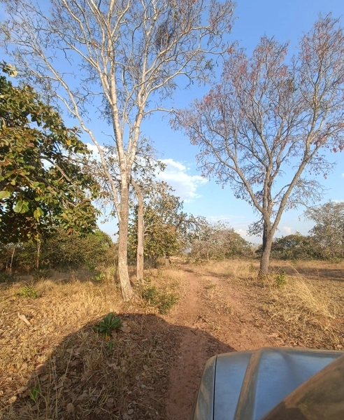 Fazenda em Minas Gerais - Ótima de preço - João Pinheiro-MG: 12ª foto da galeria de imagens do imóvel