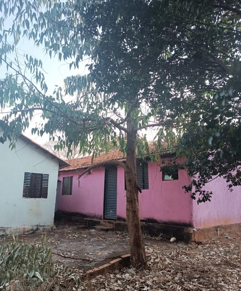 Fazenda em Minas Gerais - Ótima de preço - João Pinheiro-MG: 14ª foto da galeria de imagens do imóvel