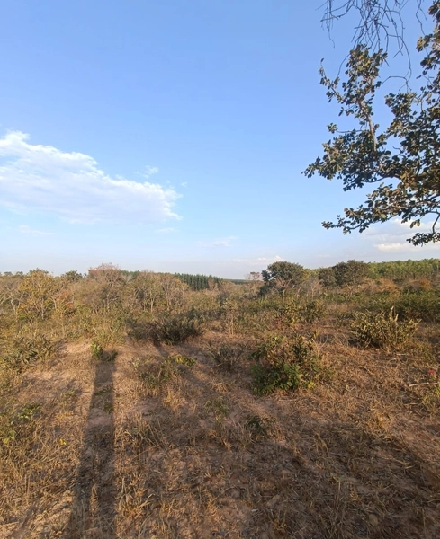 Fazenda em Minas Gerais - Ótima de preço - João Pinheiro-MG: 6ª foto da galeria de imagens do imóvel