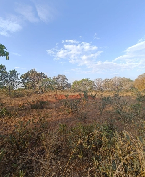 Fazenda em Minas Gerais - Ótima de preço - João Pinheiro-MG: 7ª foto da galeria de imagens do imóvel