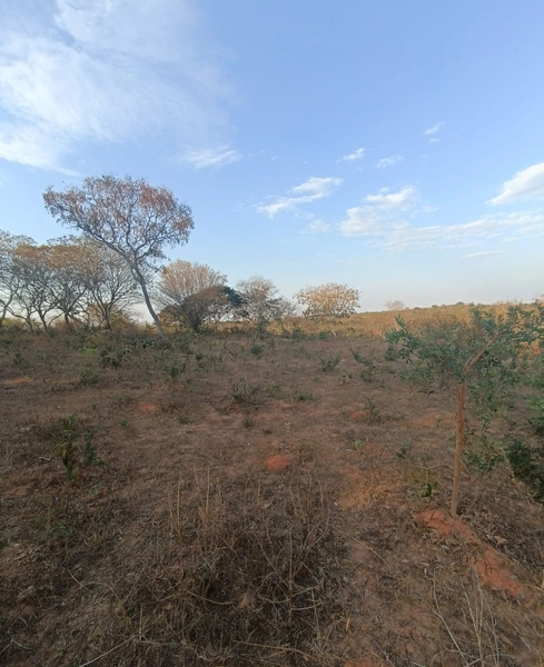 Fazenda em Minas Gerais - Ótima de preço - João Pinheiro-MG: 5ª foto da galeria de imagens do imóvel