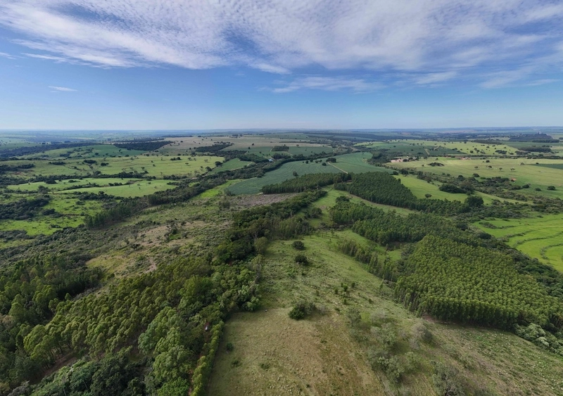 Fazenda em São Paulo - Ótimo preço - LAVOURA - GADO - CANA - LARANJA -: 10ª foto da galeria de imagens do imóvel