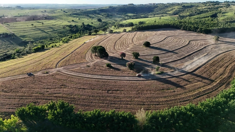 Fazenda em São Paulo - Ótimo preço - LAVOURA - GADO - CANA - LARANJA -: 6ª foto da galeria de imagens do imóvel