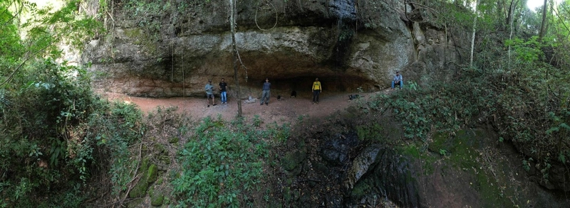 Fazenda em São Paulo - Ótimo preço - LAVOURA - GADO - CANA - LARANJA -: 12ª foto da galeria de imagens do imóvel