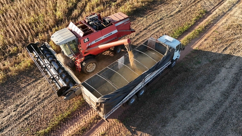 Fazenda em São Paulo - Ótimo preço - LAVOURA - GADO - CANA - LARANJA -: 7ª foto da galeria de imagens do imóvel