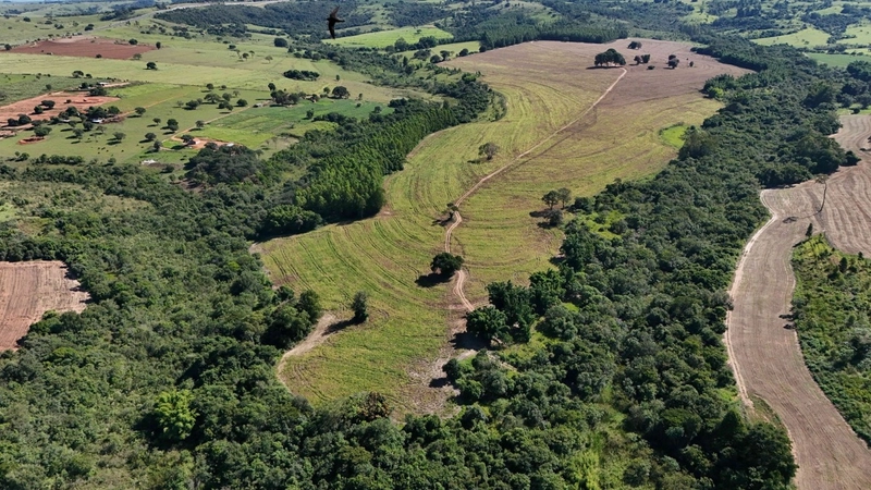 Fazenda em São Paulo - Ótimo preço - LAVOURA - GADO - CANA - LARANJA -: 5ª foto da galeria de imagens do imóvel