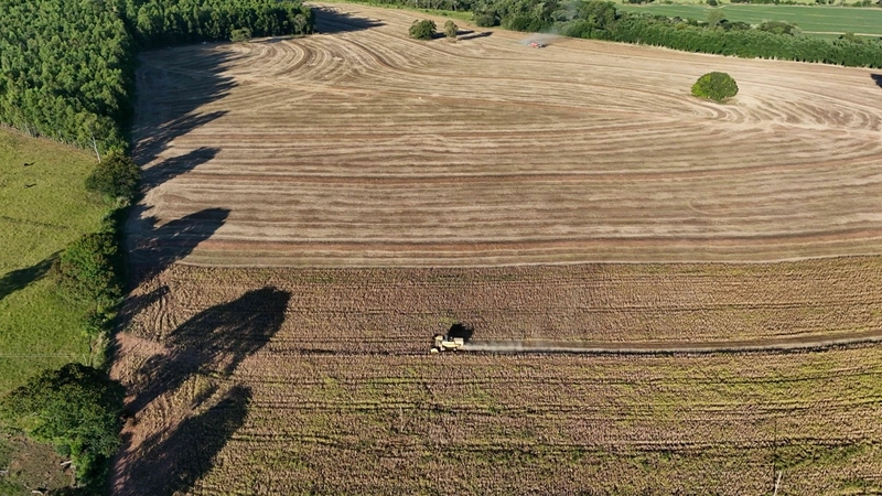 Fazenda em São Paulo - Ótimo preço - LAVOURA - GADO - CANA - LARANJA -: 1ª foto da galeria de imagens do imóvel